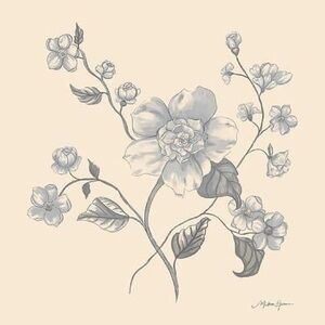 Meet your Posher, Sue